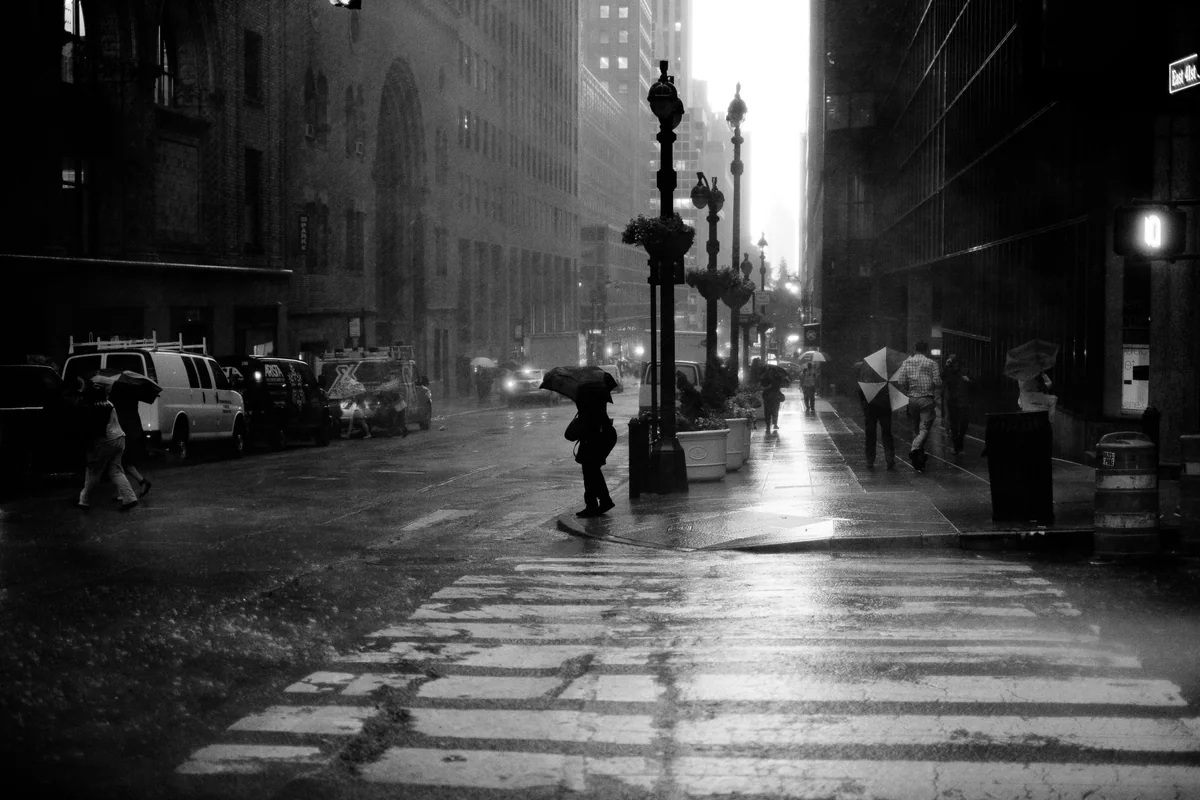 ParkAve Rains — Mist